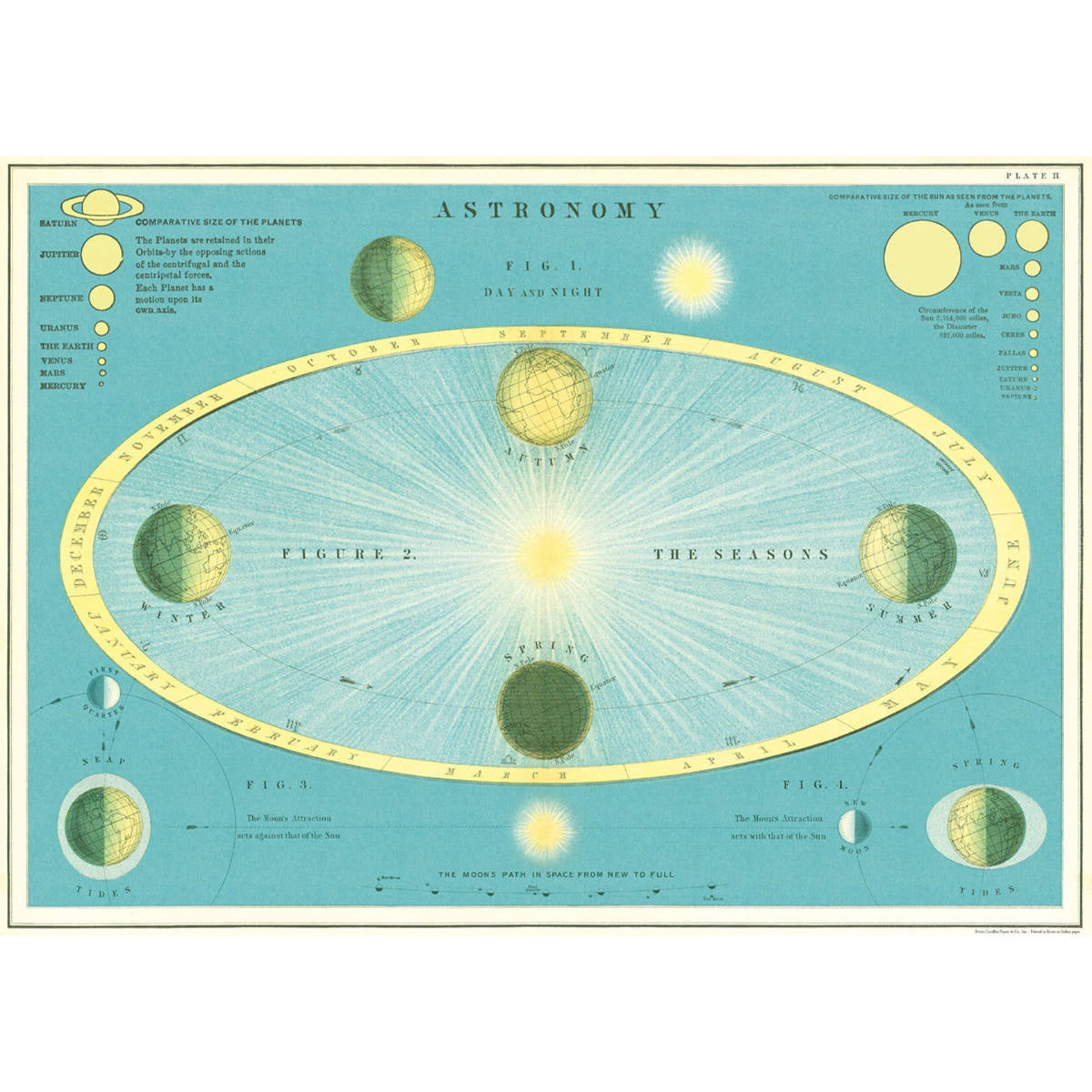 Cavallini & Co Poster - Astronomy