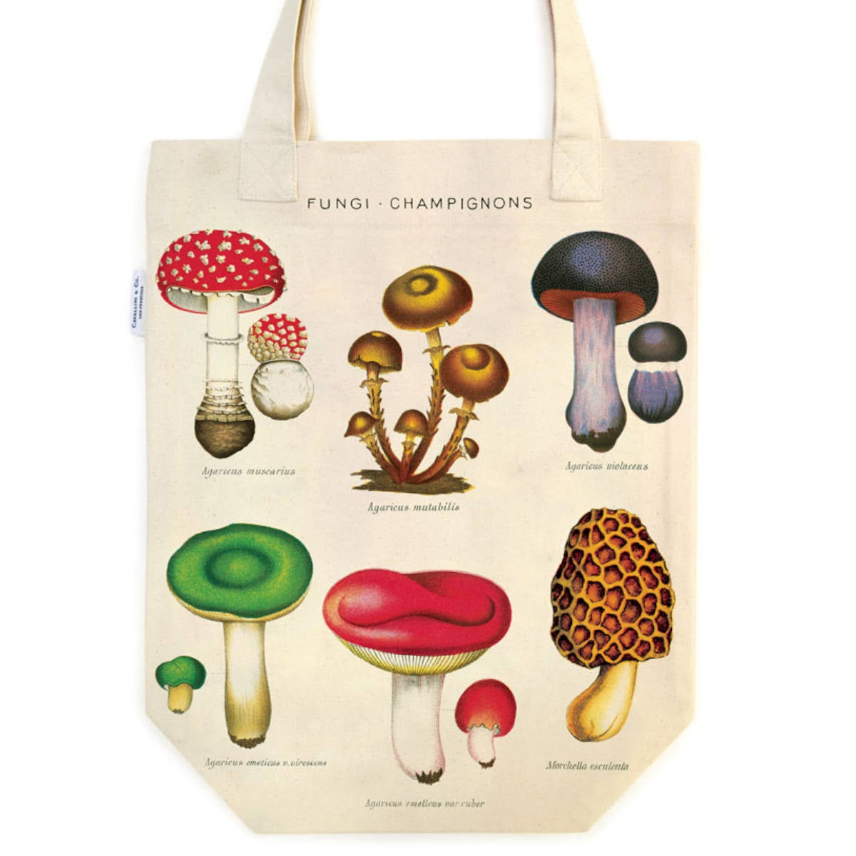 Vintage Tote Bag - Cavallini & Co. Mushrooms