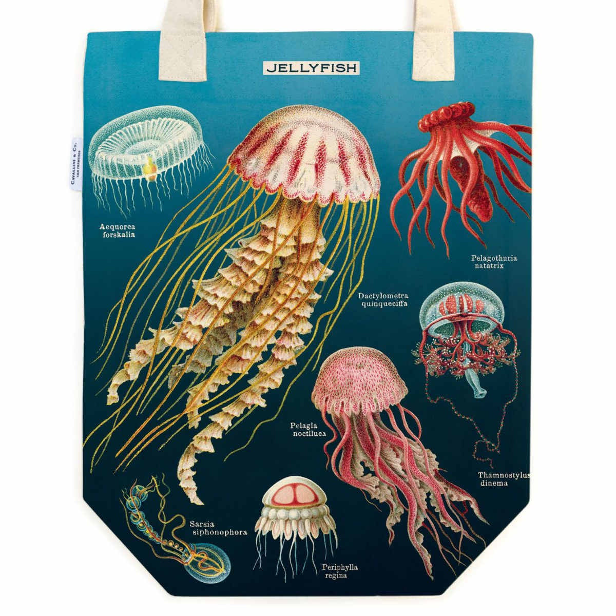 Vintage Tote Bag - Cavallini & Co. Jellyfish