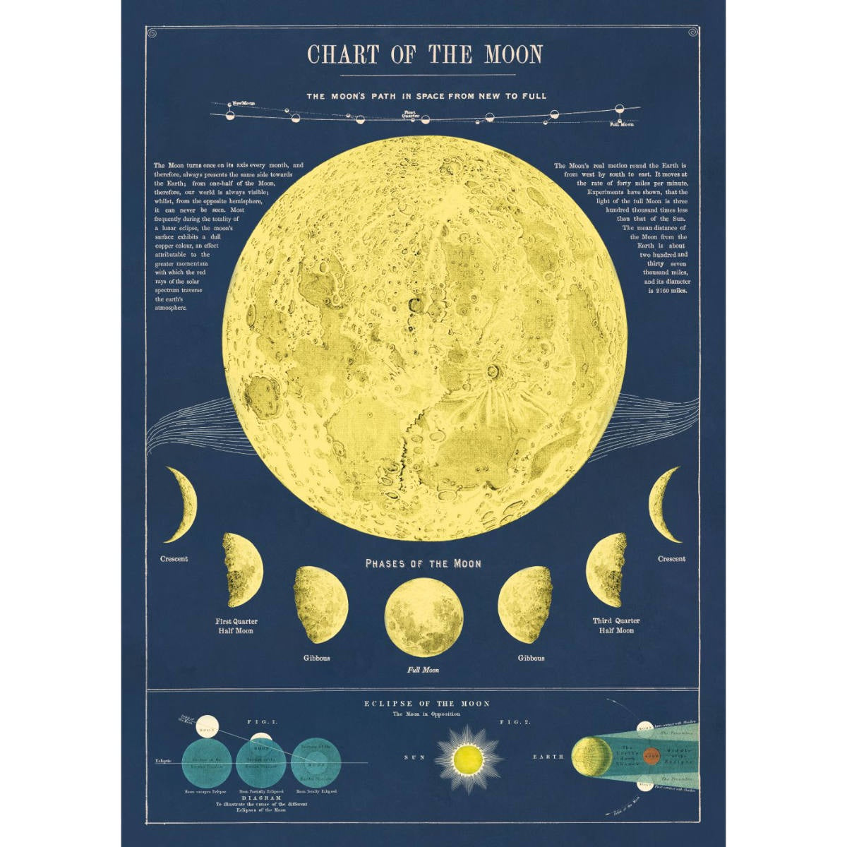 Cavallini & Co Poster - Moon Chart