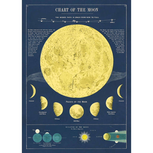 Cavallini & Co Poster - Moon Chart