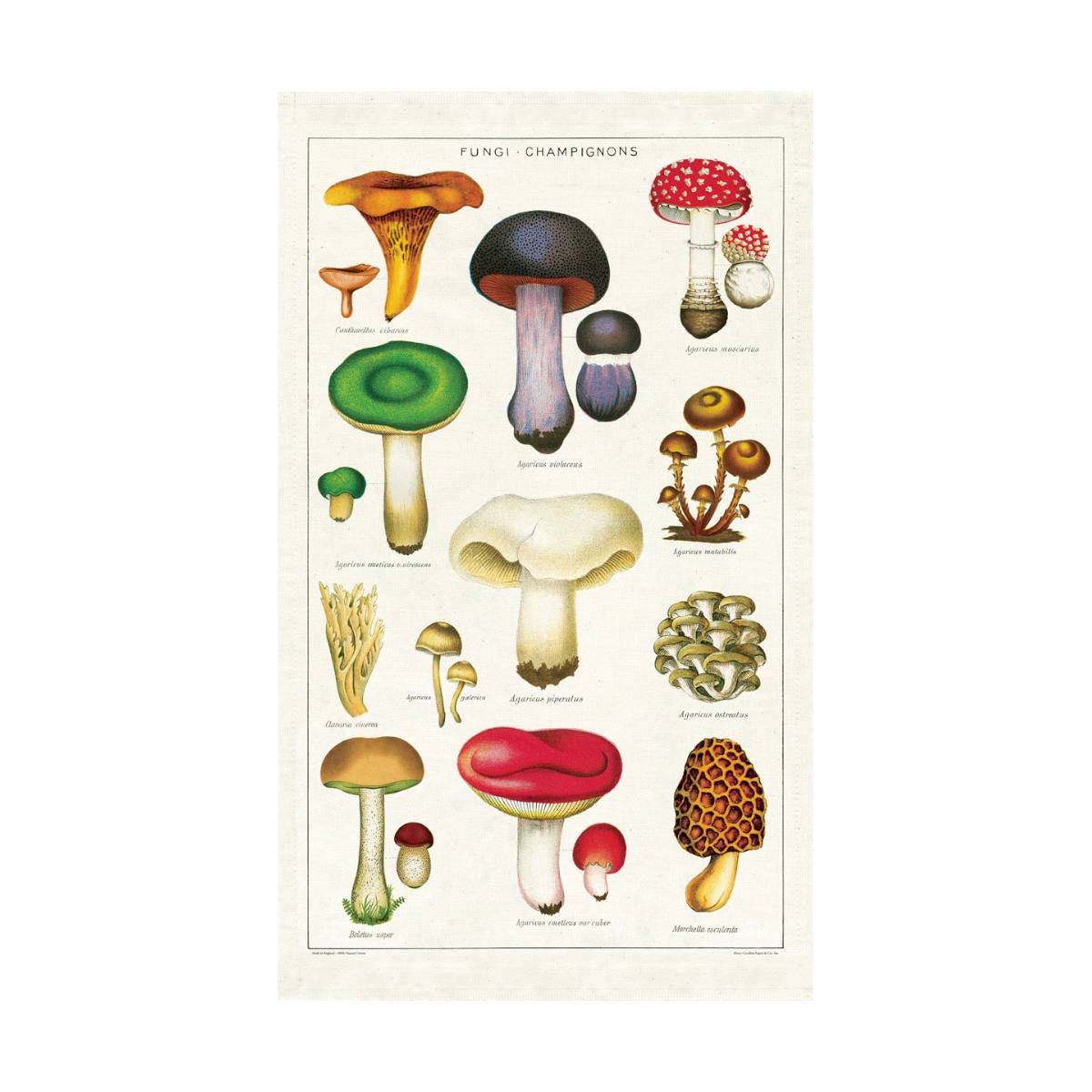 Tea Towel - Cavallini & Co. Mushrooms