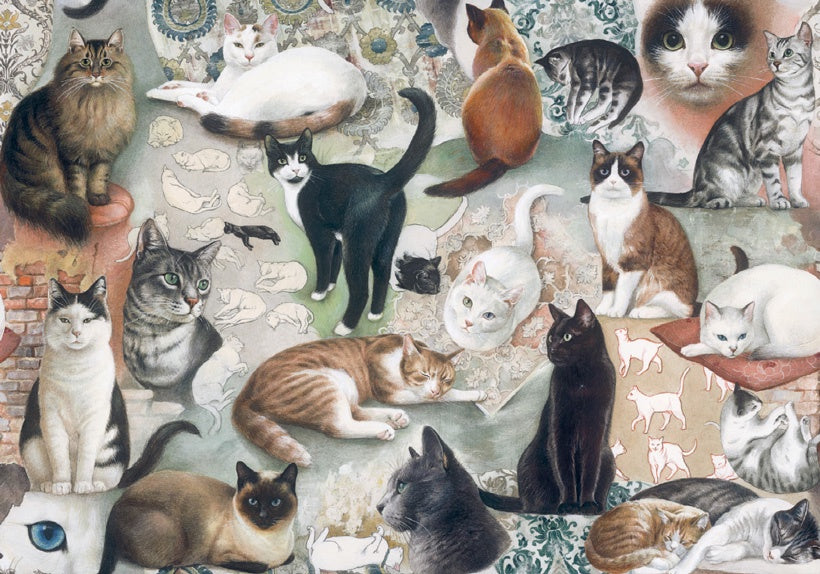 Bomo Paper - The Nine Lives Of Cat